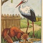 illustration de fables de la fontaine