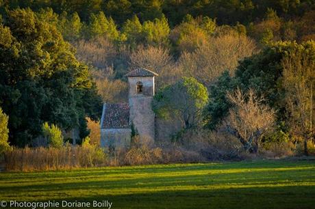 11986924_891747757539820_6391637794772104147_n