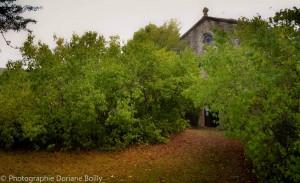 12002394_893968397317756_5722403677763572675_o