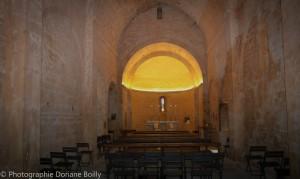 12001003_893967987317797_3191069453081449328_o