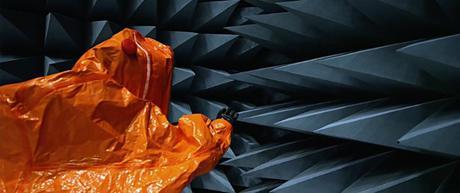 The Visit : Critique