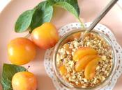 Crumble prunes 100% Sans gluten