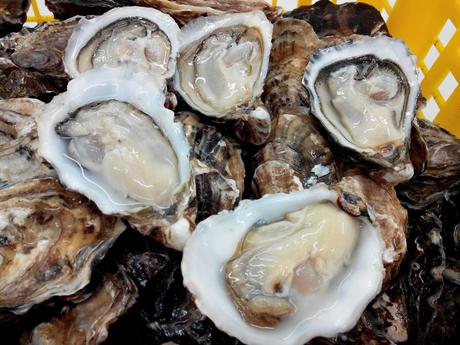 Montparnasse, port de pêche !