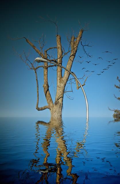 Petit coin du ciel Petit coin du ciel