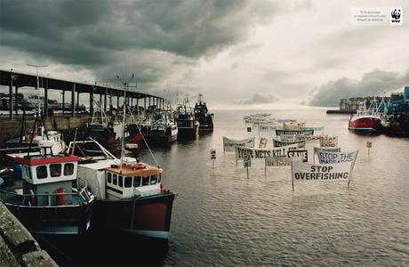 Comment scientifiques et écologistes peuvent travailler ensemble. L’exemple de la surpêche