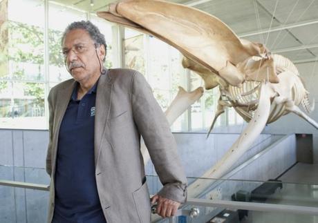 Comment scientifiques et écologistes peuvent travailler ensemble. L’exemple de la surpêche