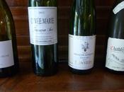 Dégustation différents vins blancs (monocépage) français