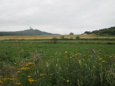 Ernest Gagnon : ce fantôme qui ouatche....!