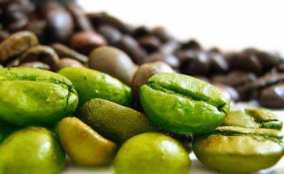 Dr Oz : Les effets minceur de l'extrait de café vert