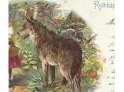 illustration chaperon rouge