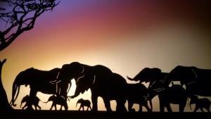 Histoire d’ivoire – Un spectacle de marionnettes