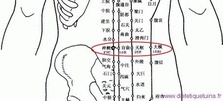 Le point Huang Shu du méridien des reins (16R)