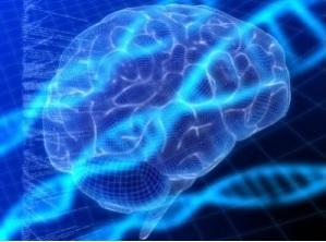 ALZHEIMER: L'espoir de fermer l'interrupteur génétique de déclin cognitif – Neuropsychopharmacology