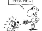 Prestation caricature Ardèche