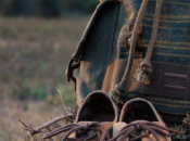 Mode/Evènement Collection Cats TOMS National Geographic