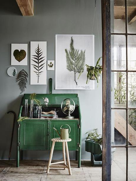 herbier_botanique_deco_elephantintheroom