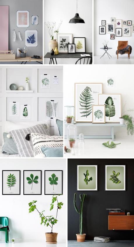 1_affiches_botanique_contemporaines_elephantintheroom