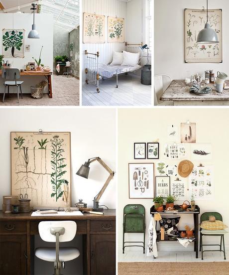 2_prints_botaniques_anciens_elephantintheroom