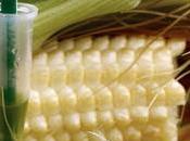 SANTÉ MONDE spectre apparaît Afrique