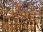 Lundi avec Alice Zaza Couleurs d’automne