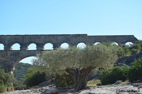 ☼ Une après-midi au Pont du Gard ☼ Le Pont du Gard (4)