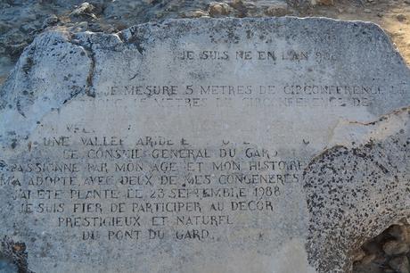 ☼ Une après-midi au Pont du Gard ☼ Le Pont du Gard (1)