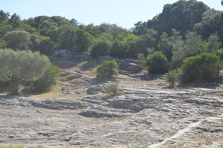 ☼ Une après-midi au Pont du Gard ☼ Le Pont du Gard (3)