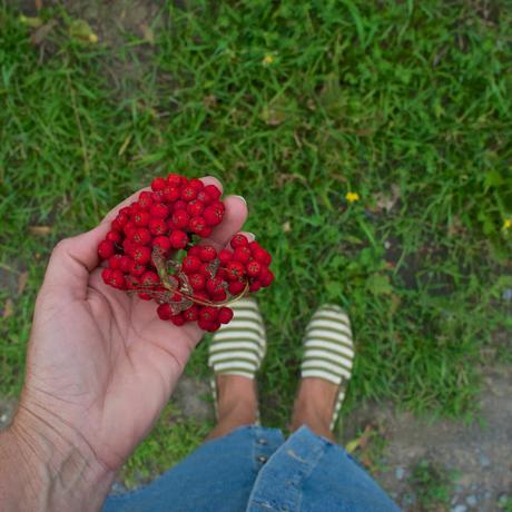Petit coin du ciel Petit coin du ciel