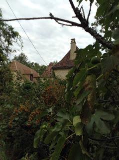 Le  dernier voyage au pays que mon père s'était choisi, la Dordogne : des nouvelles de l'automne...