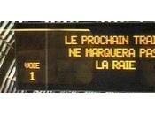 perles cochons dictée pour nuls