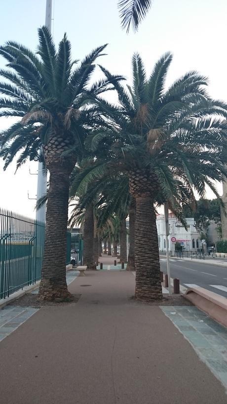 My Trip to Corsica #2 : Bastia & Propriano My Trip to Corsica #2 : Bastia & Propriano