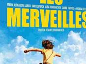 Critique Dvd: Merveilles