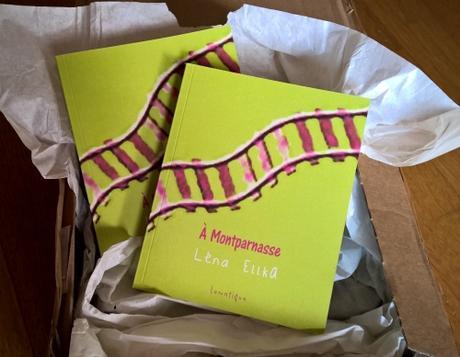 {rentrée littéraire} A Montparnasse - Lena Ellka - Editions lunatique