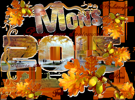Cet automne, j'ose la renaissance à Mons. Et toi ?   Mons2015 23 septembte equinoxe automne!