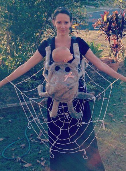 Une araignée sur sa toile... c'est presque migon !