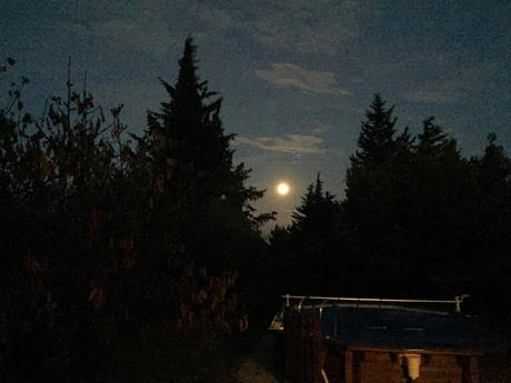La lune du soir est belle