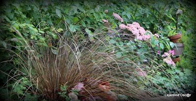 Un rayon de soleil...