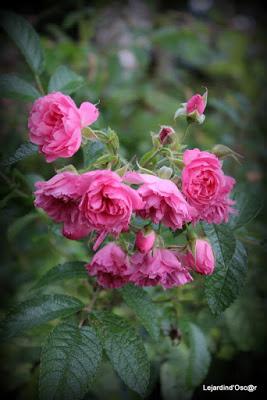 Un rayon de soleil...