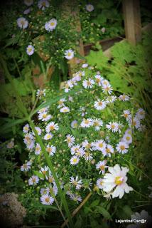 Un rayon de soleil...