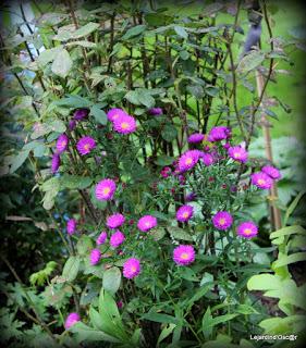 Un rayon de soleil...