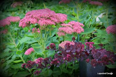 Un rayon de soleil...