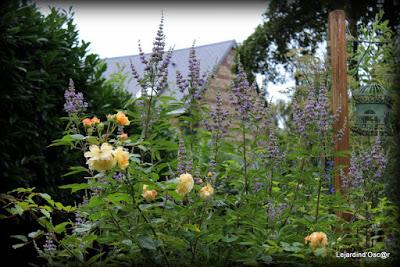 Un rayon de soleil...