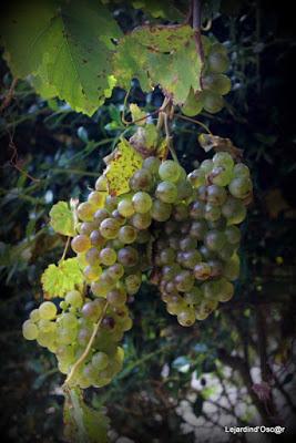 Un rayon de soleil...