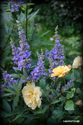 Un rayon de soleil...