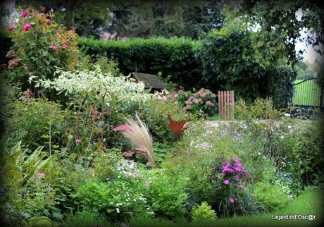 Un rayon de soleil...