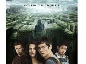 labyrinthe 8/10