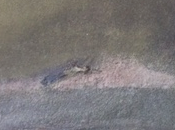 Stéphan Causse [Les lieux vous emmène]