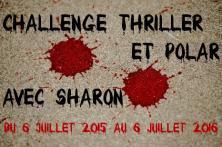 Challenge thriller et polar