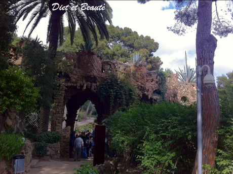 Voyage à Barcelone : 7éme Jour Visite du Parc Güell et du musée Arts Santa Mònica