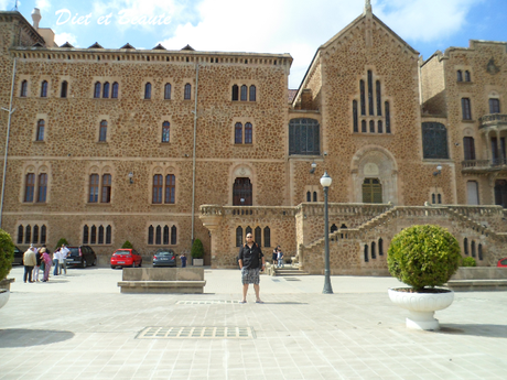 Voyage à Barcelone : 7éme Jour Visite du Parc Güell et du musée Arts Santa Mònica